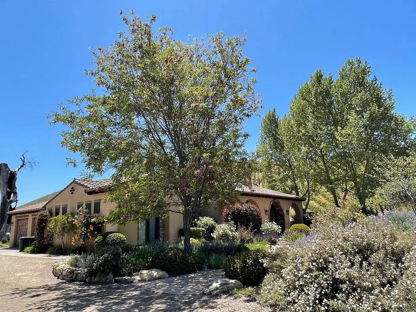 Gorgeous Wine Country 3 Bedroom 2 Bath Single Family Home Available December 2026 — Photo 3