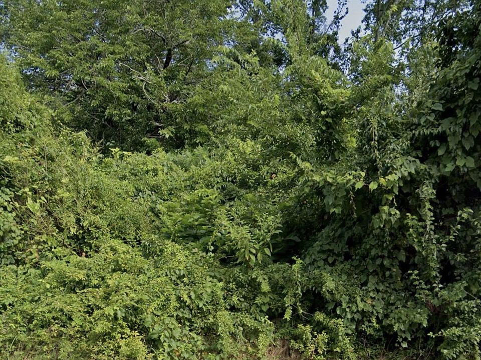 2nd image of 0 Spring Gdn
