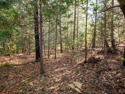 Calvert Dr #TL1203, Grants Pass, OR, 97526