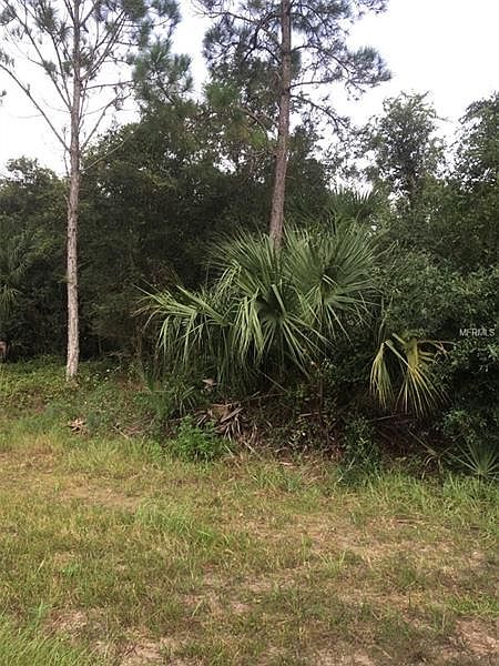 1st image of 21085 Bachmann Blvd