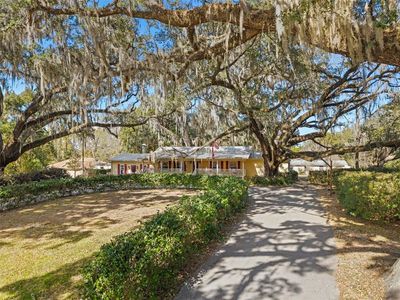 19651 NE 50th St, Williston, FL, 32696