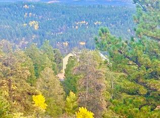 361 Crystal Peak Rd, Florissant, CO 80816