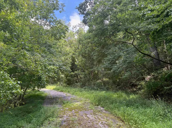 Virginia Ave, Newport, VA 24128