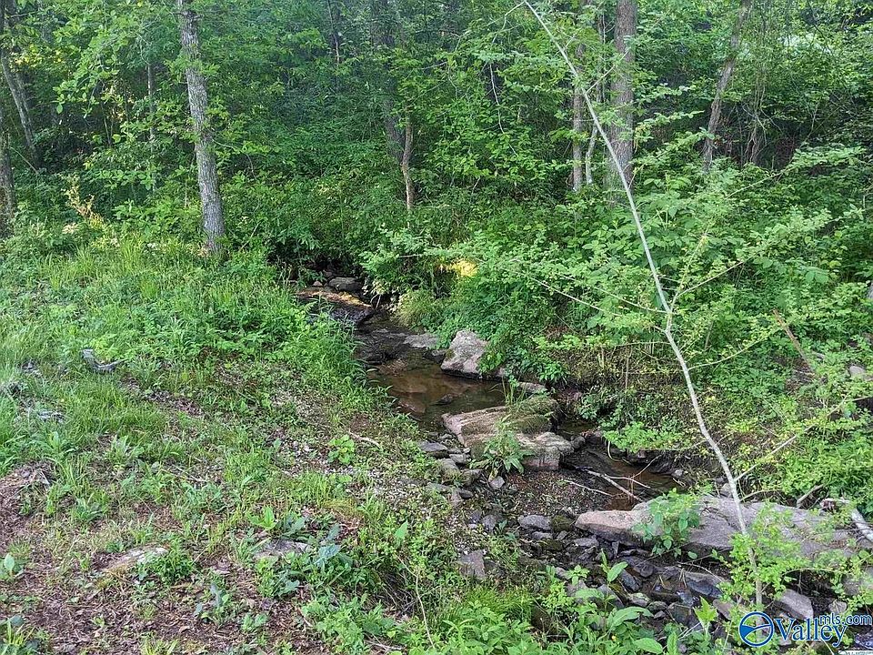 19th image of 3357 County Road 61