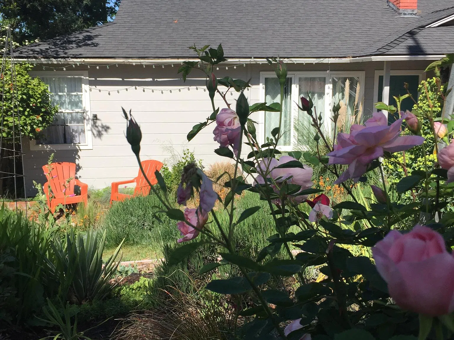 1515 Sunset Loop — Photo 4