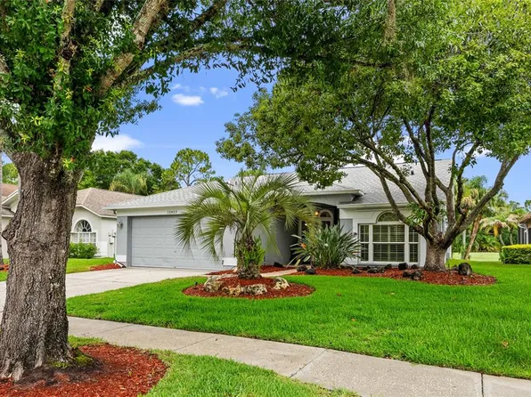 12823 Royal George Ave, Odessa, FL 33556