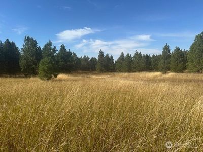 0 Melcum Grade Road, Dayton, WA, 99328