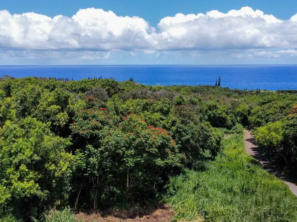 6870 Hana Hwy #B, Hana, HI 96713