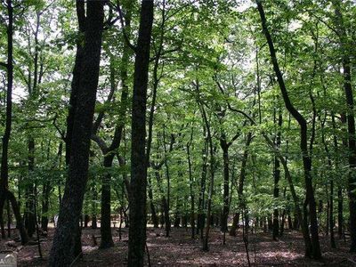 1548 Moss Patch Trl, Jasper, GA, 30143