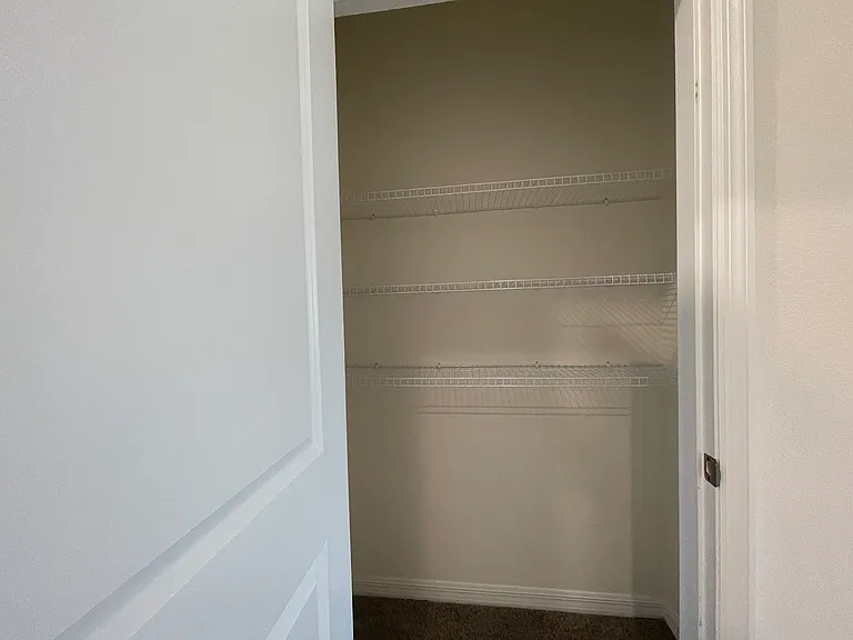 33367 Apricot Tree Ct — Photo 29