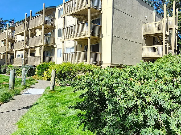 Mandarin Dr — Photo 16