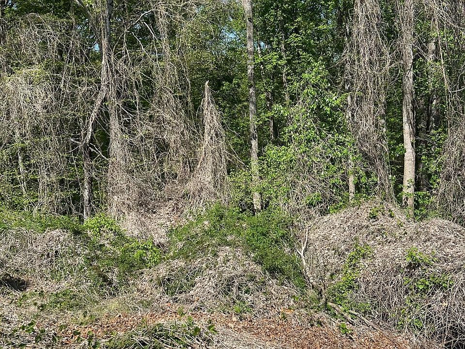 1st image of 20 Deborah Lot Dr