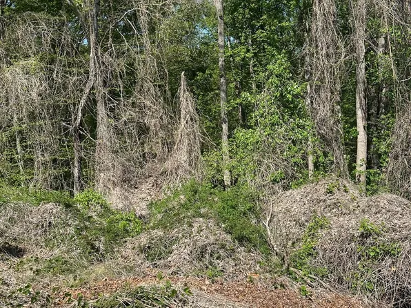 19 Deborah Dr, Lynchburg, VA 24501