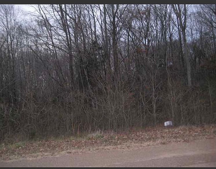 Wooded lot
