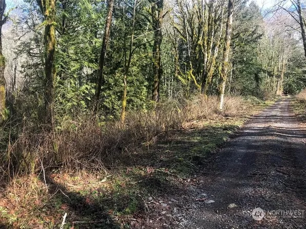 0 Butts Road, Morton, WA 98356