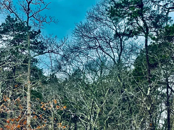 2 Old Farms Trl, Edgartown, MA 02539