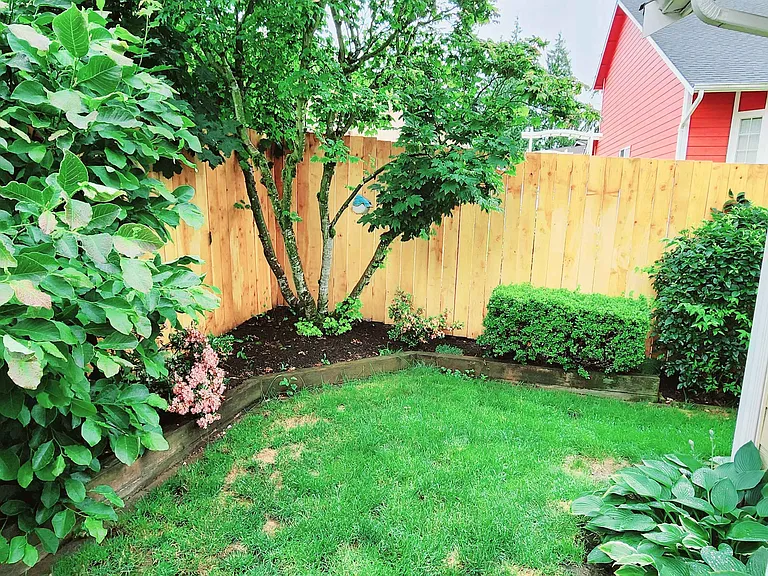 Backyard_3
