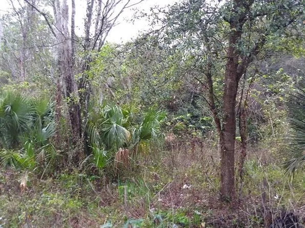 1010 S Warnell Rd, Coleman, FL 33521