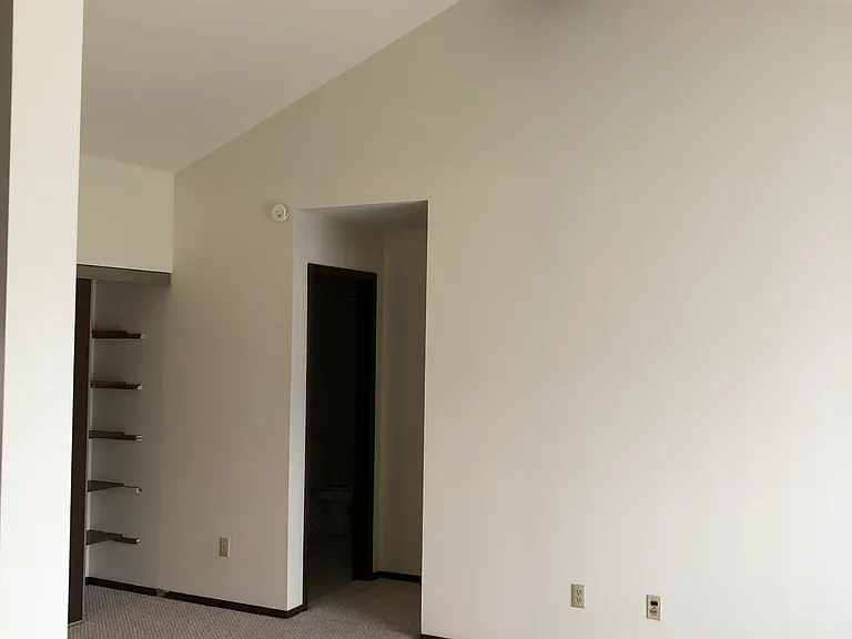 Tall vaulted walls and ceilings