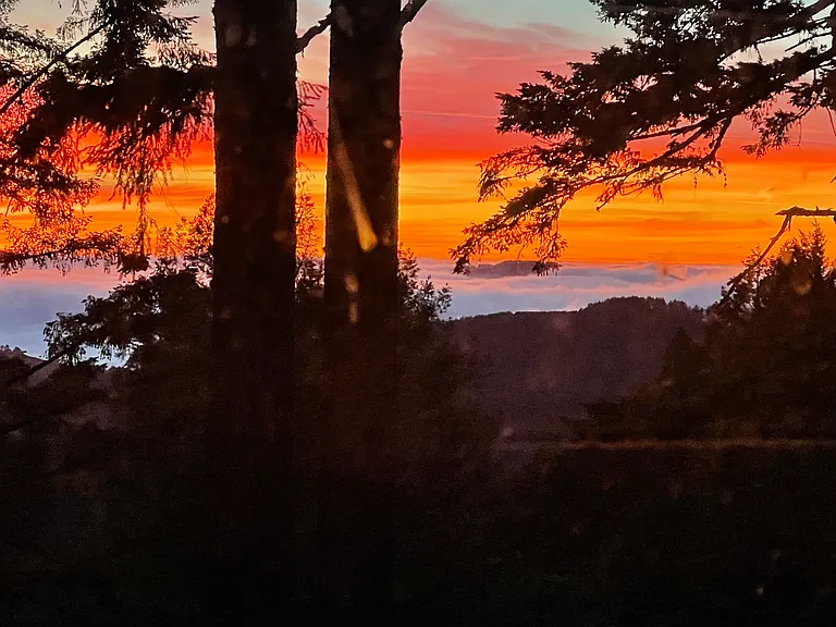 14750 Skyline Blvd — Photo 20