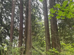 11111 292nd St NE, Arlington, WA 98223