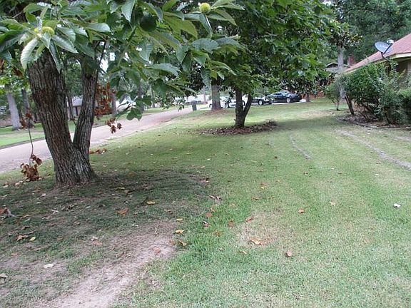 3rd image of 113 Westover Dr