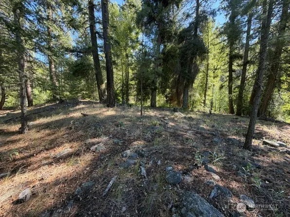 0 E Buttermilk Creek Road, Twisp, WA 98856
