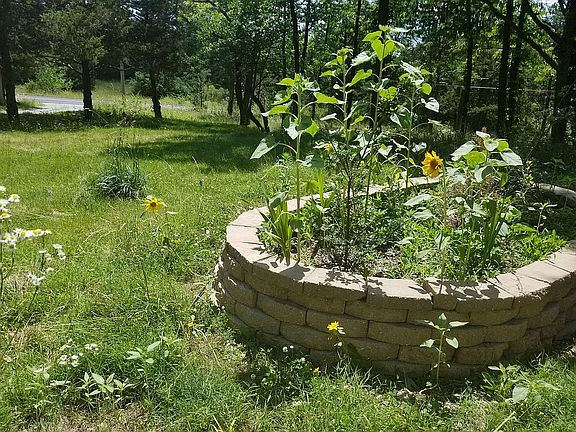 Over 100 species of wildflwr