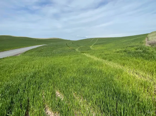 Nka Broenneke Rd, Moscow, ID 83843