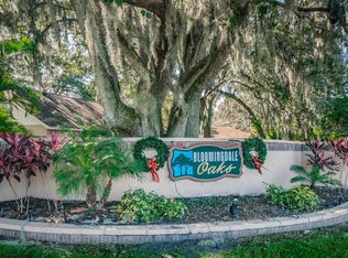 3405 Bloomingdale Oaks Dr, Valrico, FL 33596