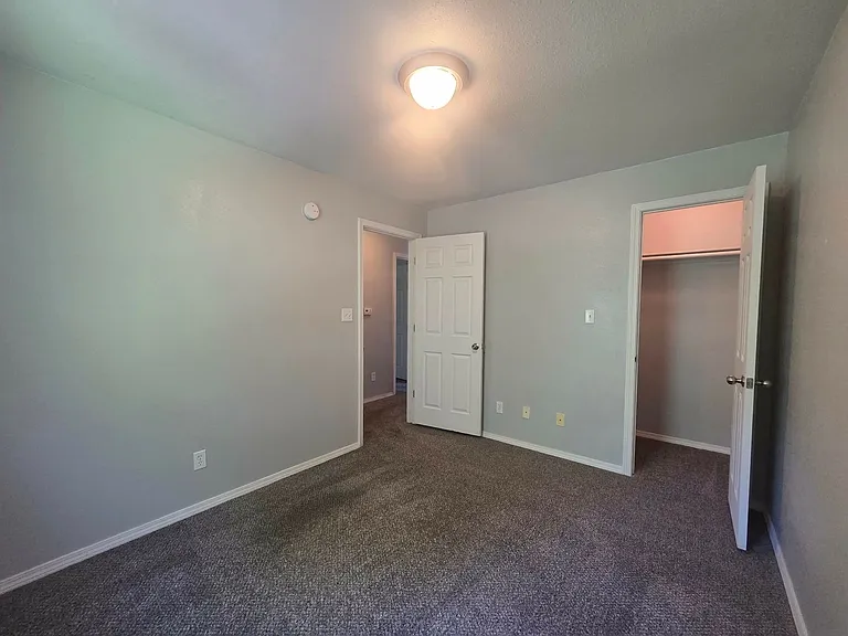 906 Whitetail Ct — Photo 17
