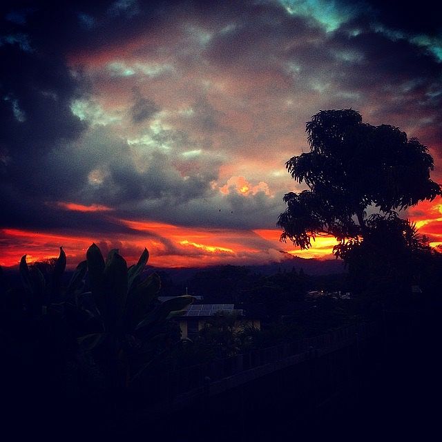 Sunset from back yard