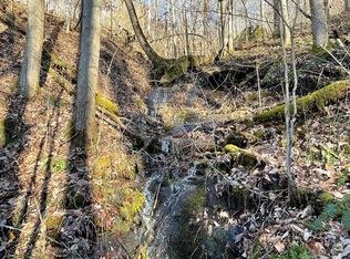 0 Bearpaw Rdg, Franklin, NC 28734