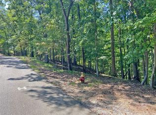 0 Chokecherry Ln LOT 21, Dahlonega, GA 30533