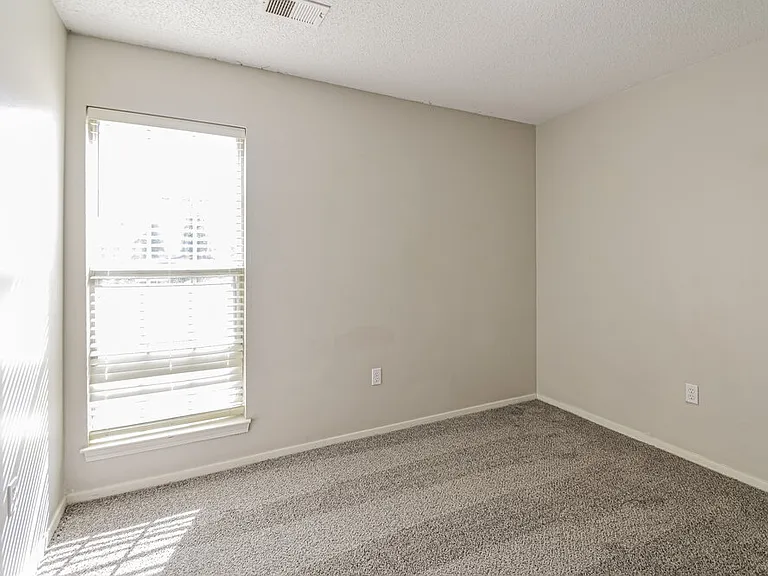 10368 Palmer Cv — Photo 14