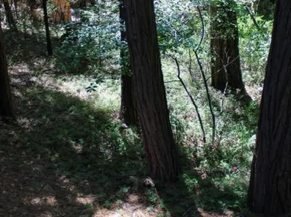 Laurel Ave, Twain Harte, CA 95383