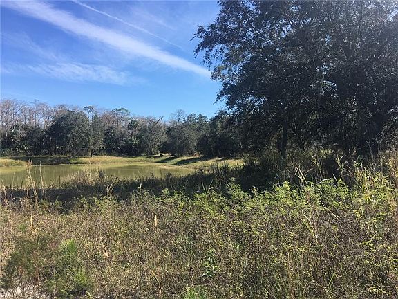 5th image of 17581 Wildcat Dr