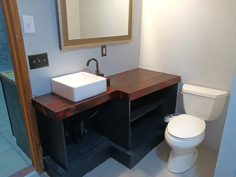 Lower level bathroom