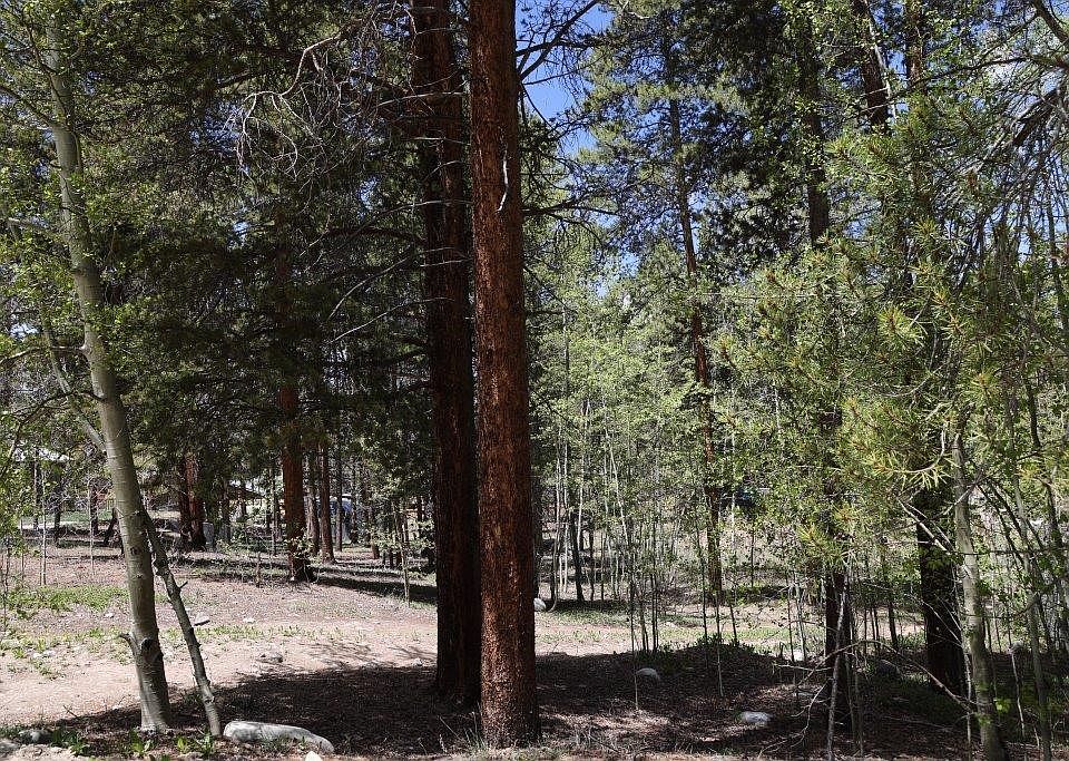 1806 Gold Dr E Leadville, CO, 80461 Apartments for Rent Zillow