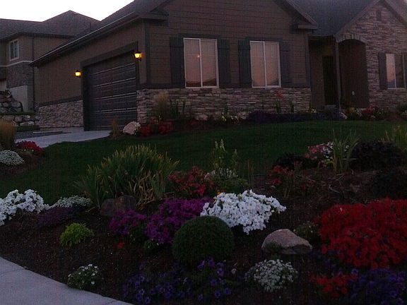 Side Yard looking North West