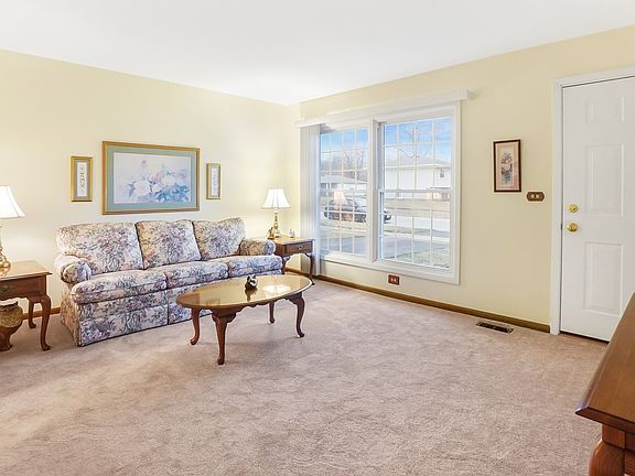 NEW Carpet 2019
