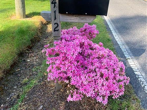 Your new house number!!