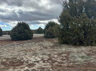 1121 S Ridgeline Dr, Show Low, AZ 85901