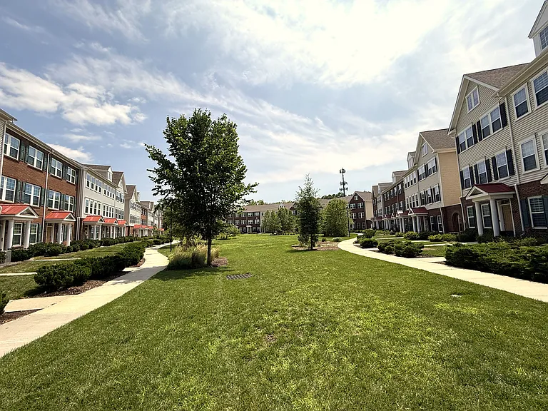 Shared community green