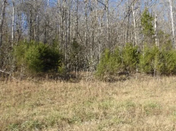 0 Cheyenne Dr Lot 46, Jamestown, TN 38556