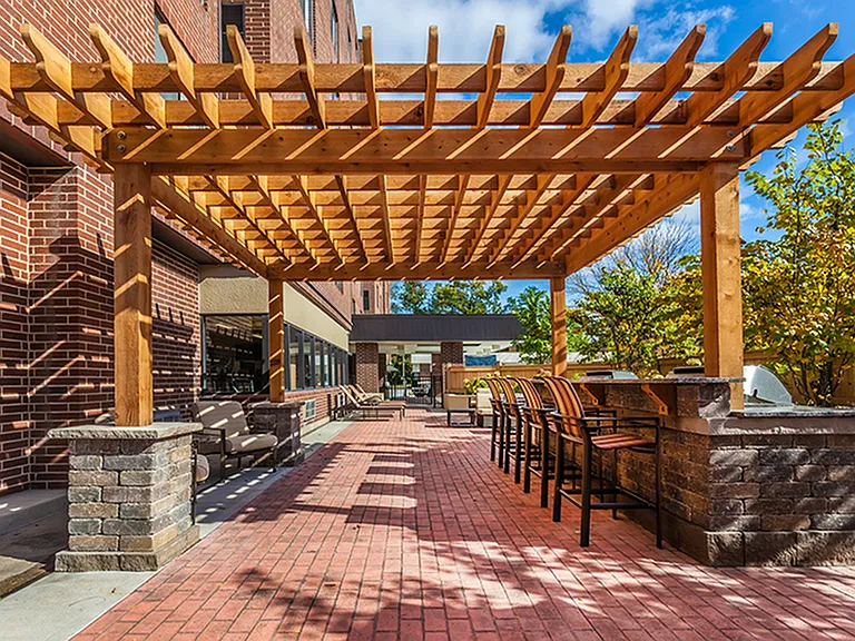 Outdoor Lounge with Pergola and Grill Area