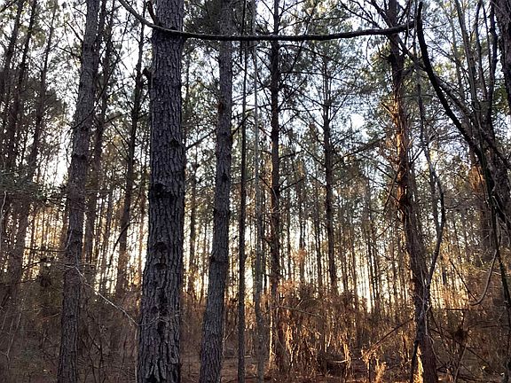 2nd image of 20 McIntyre Rd