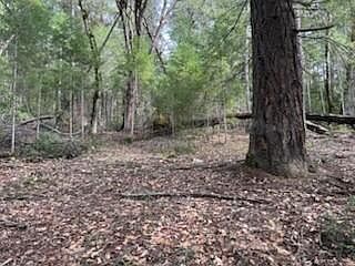 4th image of 320 Coon Creek Rd