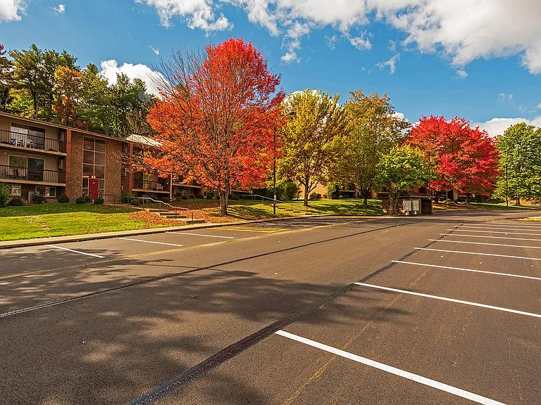 Parking Lot View
