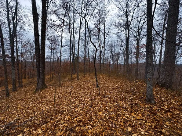 0 Bear Run, Smithville, WV 26178